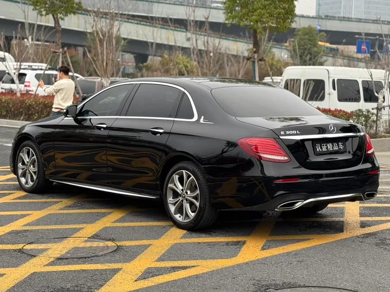Mercedes-Benz E-Class 2020 Restyling E 300 L Sports fashion type exterior photo 5