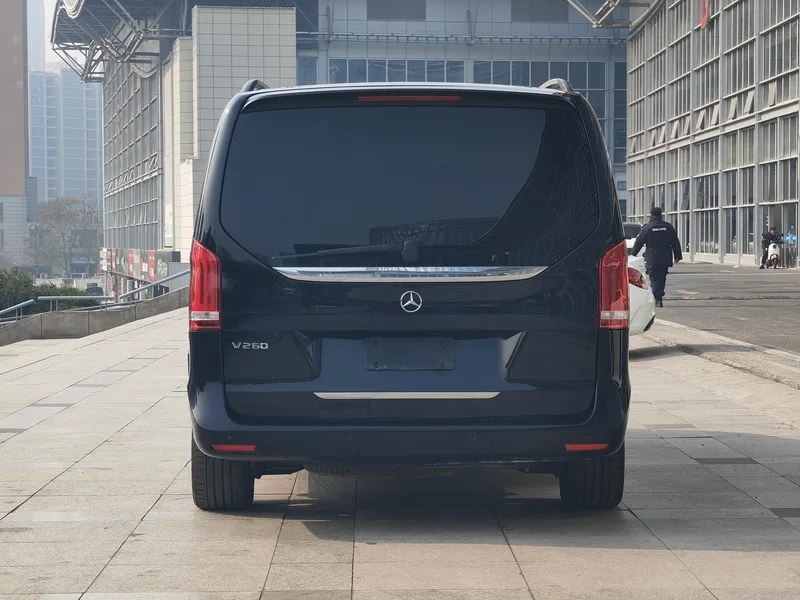 Mercedes-Benz V-Class 2018 V 260 Pilot Edition Country VI exterior photo 3