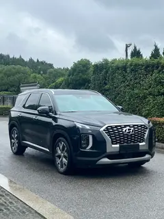 Hyundai Palisade 2021 3.5L Four-wheel drive automatic GLS exterior photo 3 Hyundai Palisade 2021 3.5L Four-wheel drive automatic GLS exterior photo 3