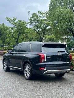 Hyundai Palisade 2021 3.5L Four-wheel drive automatic GLS exterior photo 4 Hyundai Palisade 2021 3.5L Four-wheel drive automatic GLS exterior photo 4