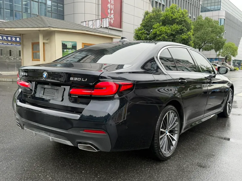 BMW 5 Series 2021 Restyling 530Li Leading Type M Sports suit interior photo 16 BMW 5 Series 2021 Restyling 530Li Leading Type M Sports suit interior photo 16