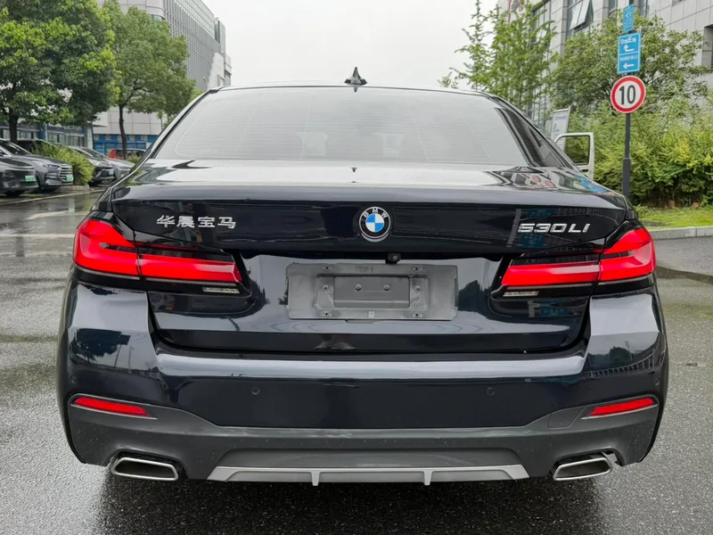 BMW 5 Series 2021 Restyling 530Li Leading Type M Sports suit interior photo 17 BMW 5 Series 2021 Restyling 530Li Leading Type M Sports suit interior photo 17