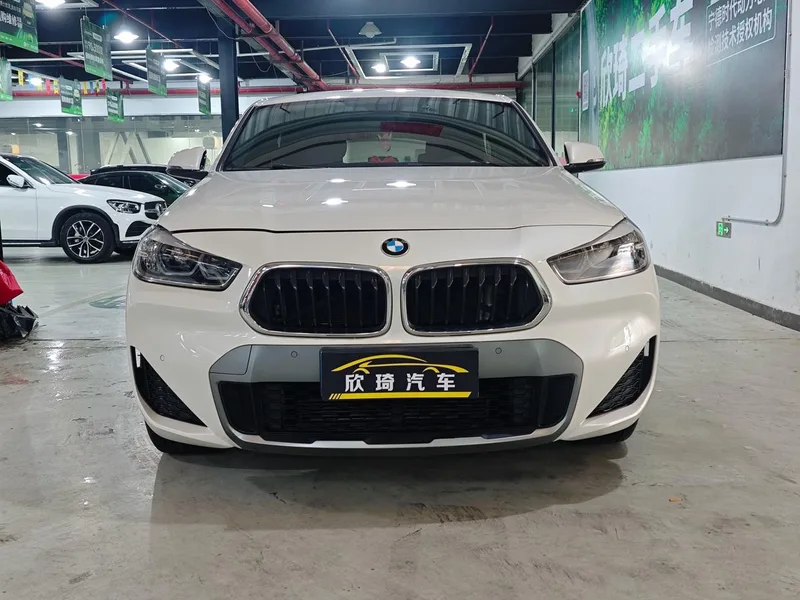 BMW X2 2020 sDrive25i Leading Type M Off-road suit exterior photo 2