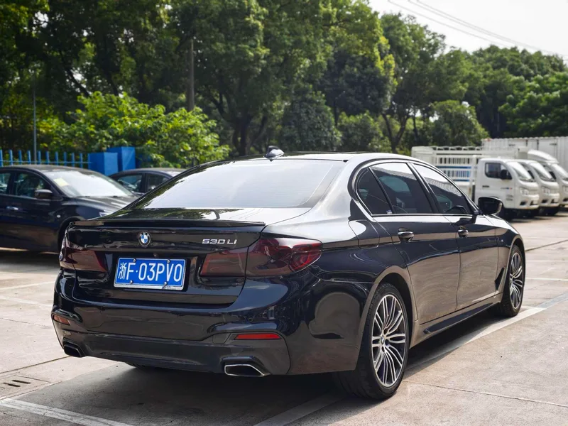 BMW 5 Series 2019 530Li Leading Type M Sports suit interior photo 16 BMW 5 Series 2019 530Li Leading Type M Sports suit interior photo 16