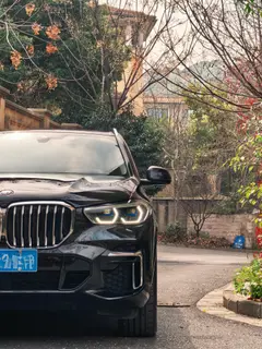 BMW X5 2022 xDrive 30Li M Sports suit interior photo 13 BMW X5 2022 xDrive 30Li M Sports suit interior photo 13