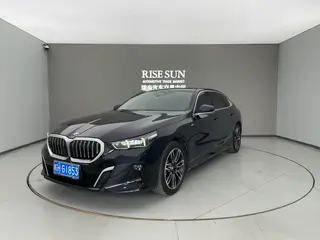 BMW 5 Series 2024 530Li Leading Type M Sports suit
