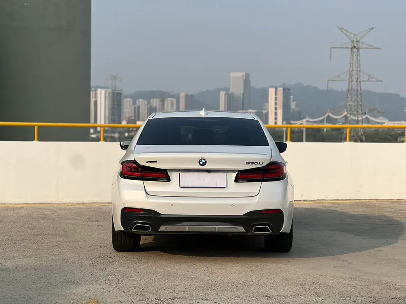 BMW 5 Series 2021 Модификация 530Li Лидирующий M Спортивный костюм экстерьер фото 5 BMW 5 Series 2021 Модификация 530Li Лидирующий M Спортивный костюм экстерьер фото 5