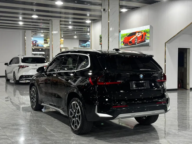 BMW X1 2025 sDrive25Li X Design Suit interior photo 14 BMW X1 2025 sDrive25Li X Design Suit interior photo 14