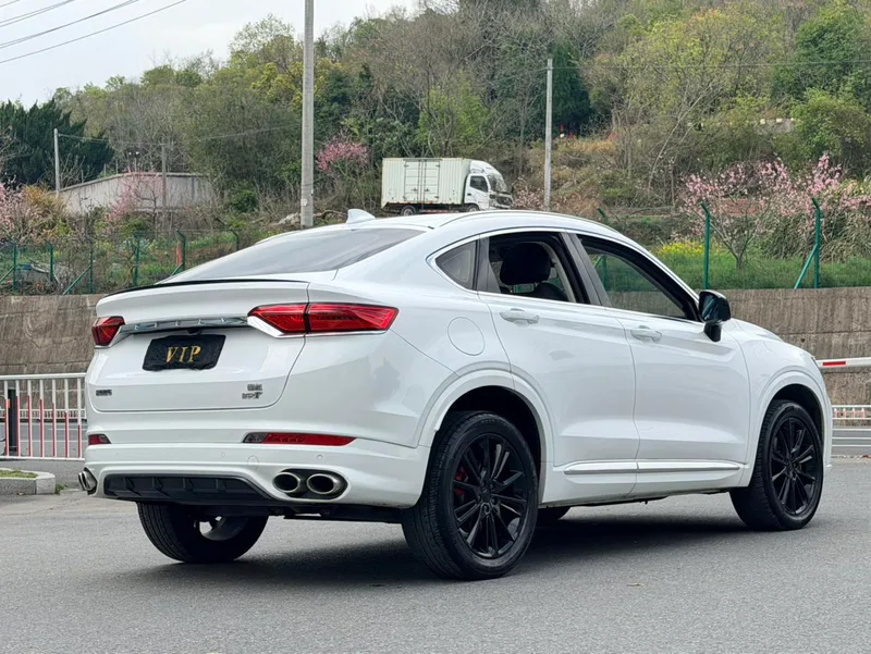 Geely Xingyue 2020 High-energy version 350T Shining Star exterior photo 4 Geely Xingyue 2020 High-energy version 350T Shining Star exterior photo 4
