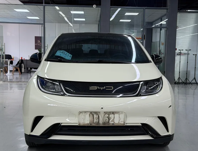 BYD Dolphin 2021 Fashion Edition exterior photo 2