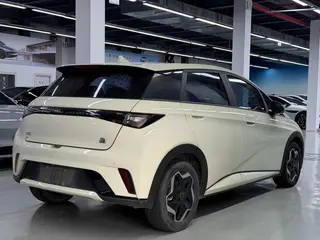 BYD Dolphin 2021 Fashion Edition interior photo 8