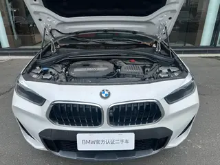 BMW X2 2021 sDrive25i M Conjunto deportivo interior foto 15