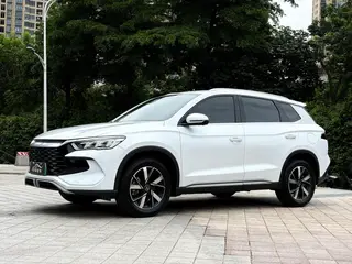 BYD Song Pro 2024 DM-i Glory Edition 71km Pilot type