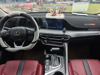 Changan Eado 2021 PLUS Blue whale NE 1.4T GDI DCT Flagship interior photo 9 Changan Eado 2021 PLUS Blue whale NE 1.4T GDI DCT Flagship interior photo 9