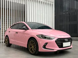 Hyundai Elantra Lingdong 2018 1.6L Automatique 15 Édition spéciale d'anniversaire extérieur photo 3