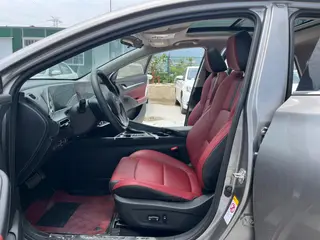 Changan Eado 2020 PLUS Ballena azul NE 1.4T GDI Buque insignia automático interior foto 14