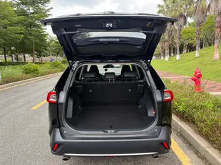 Toyota Wildlander 2022 2.0L Versión de lujo de tracción en dos ruedas interior foto 13