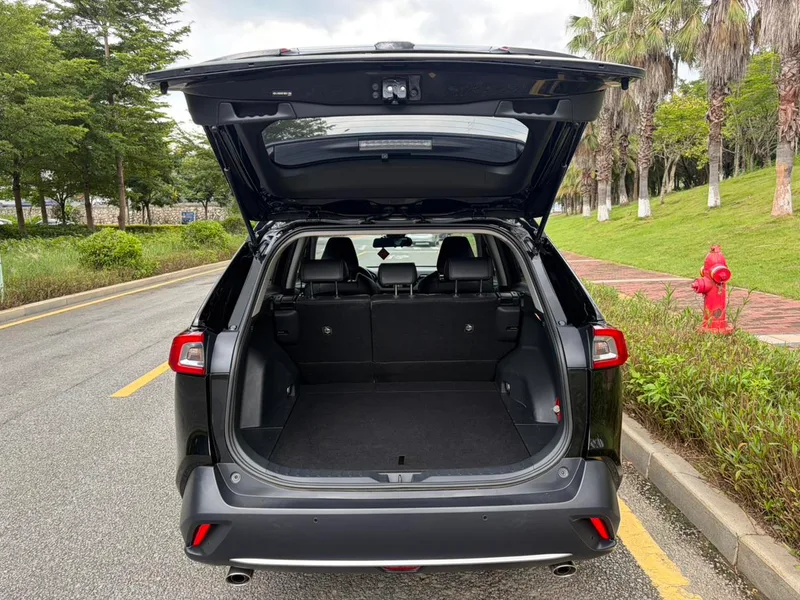Toyota Wildlander 2022 2.0L Versión de lujo de tracción en dos ruedas interior foto 13