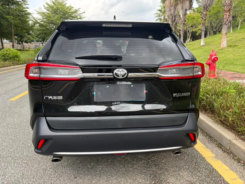 Toyota Wildlander 2022 2.0L Versión de lujo de tracción en dos ruedas interior foto 15
