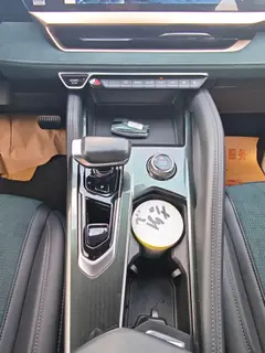 Geely Monjaro 2021 2.0TD DCT EVO Two-wheel-drive Zhizun type interior photo 15 Geely Monjaro 2021 2.0TD DCT EVO Two-wheel-drive Zhizun type interior photo 15