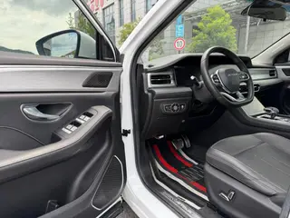 Jetour X90 PLUS 2023 2.0TD DCT Castle exterior photo 4