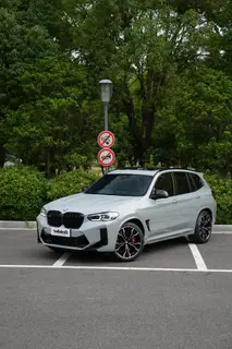 BMW X3 M 2022 X3 M Thunder Edition