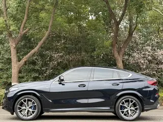 BMW X6 2023 Restyling xDrive40i Premium Class M Sports suit exterior photo 3