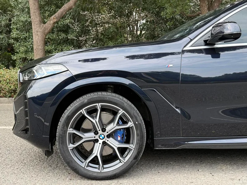 BMW X6 2023 Restyling xDrive40i Premium Class M Sports suit exterior photo 7