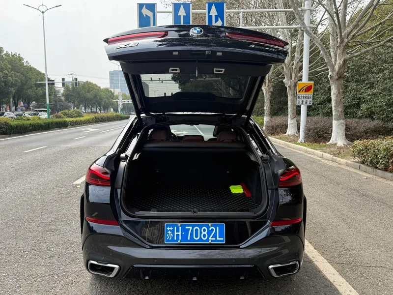 BMW X6 2023 Restyling xDrive40i Premium Class M Sports suit exterior photo 8