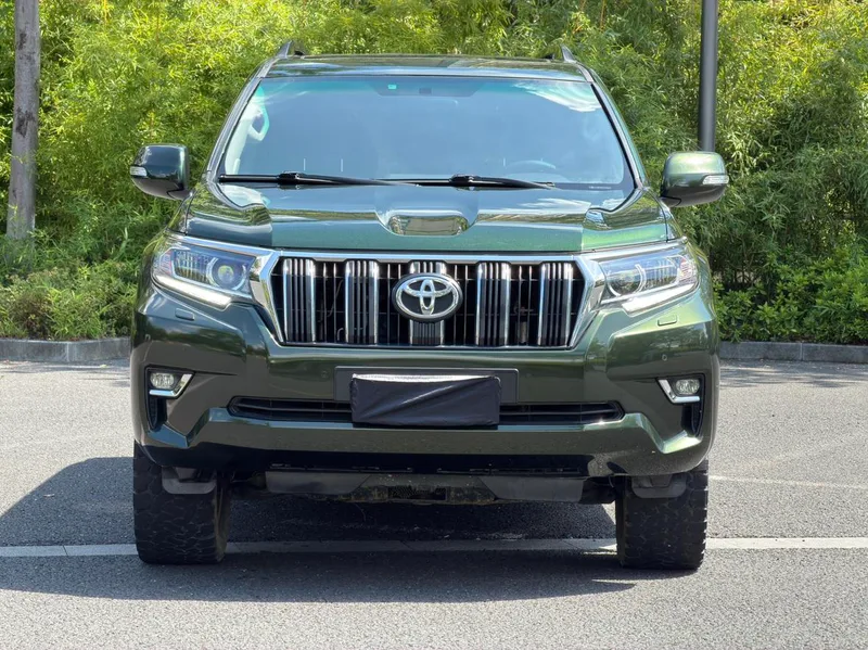 Toyota Prado 2018 3.5L Automatic TX-L Rear spare wheel exterior photo 2