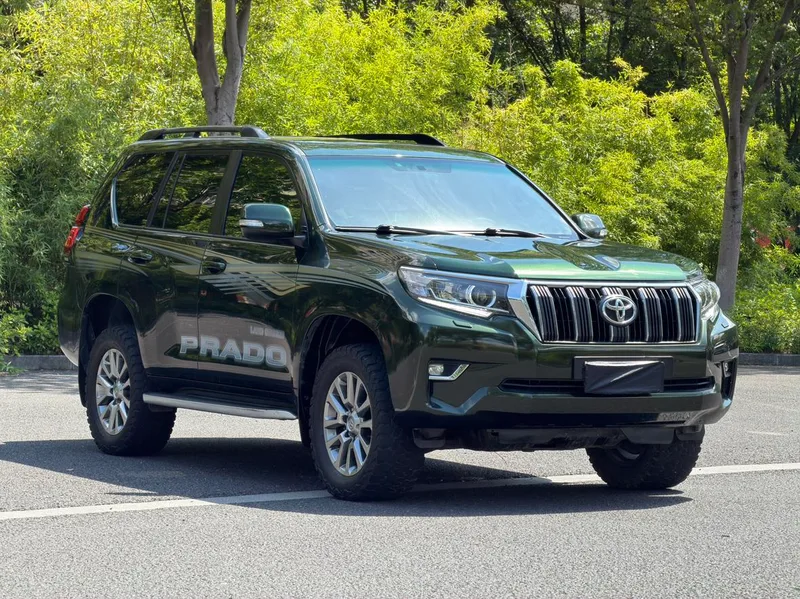 Toyota Prado 2018 3.5L Automatic TX-L Rear spare wheel exterior photo 3