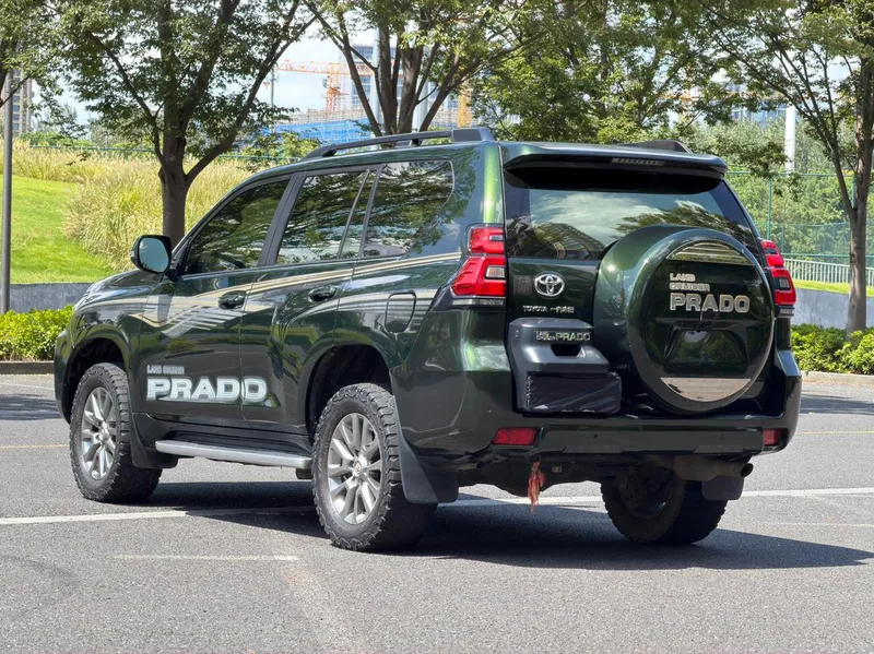 Toyota Prado 2018 3.5L Automatic TX-L Rear spare wheel exterior photo 6