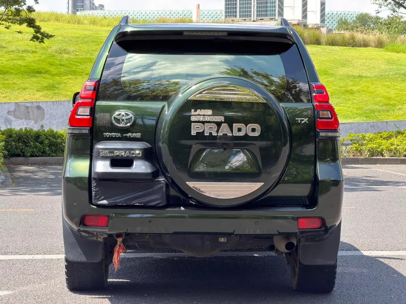 Toyota Prado 2018 3.5L Automatic TX-L Rear spare wheel exterior photo 7