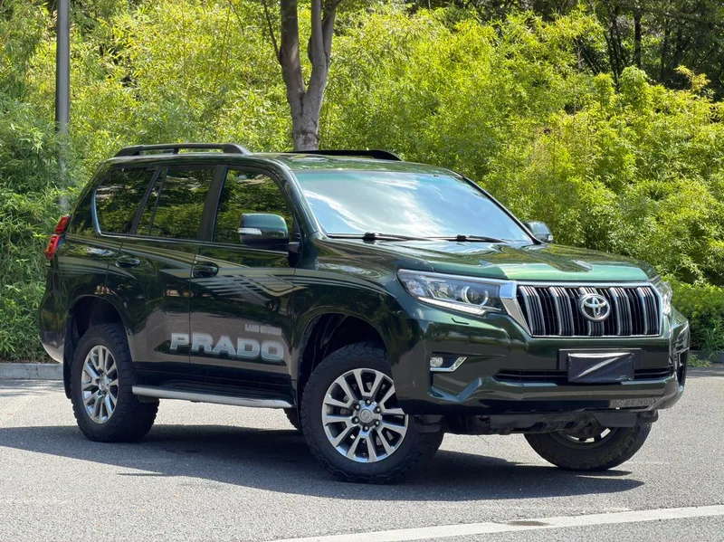 Toyota Prado 2018 3.5L Automatic TX-L Rear spare wheel exterior photo 10