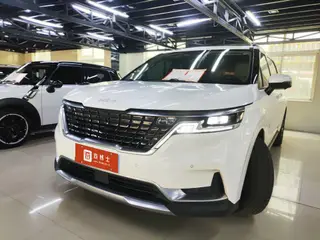 Kia Carnival 2021 2.0T Flagship model