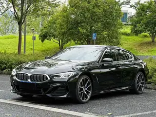 BMW 8 Series 2022 840i Четырехдверное купе M Спортивный костюм