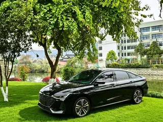 Chery Arrizo 8 2023 Version haute performance 2.0T DCT La force