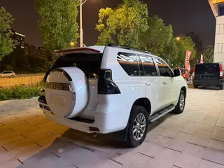 Toyota Prado 2018 3.5L Automatic TX-L Rear spare wheel interior photo 16 Toyota Prado 2018 3.5L Automatic TX-L Rear spare wheel interior photo 16