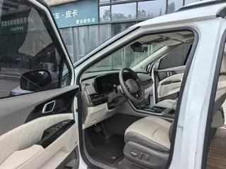 Kia Carnival 2021 2.0T Флагманская модель интерьер фото 12