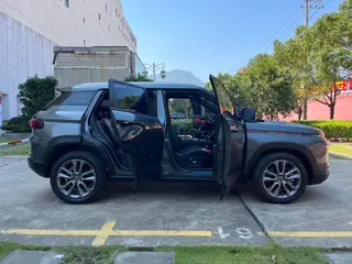 Geely ICON 2021 1.5TD Spring Limited Koi Edition interior photo 12 Geely ICON 2021 1.5TD Spring Limited Koi Edition interior photo 12