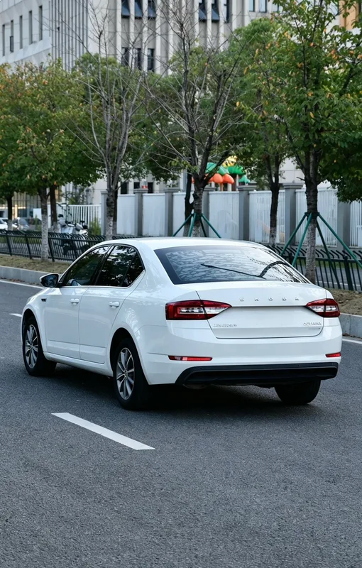 Skoda Octavia 2019 TSI230 DSG Zhixing Comfort Edition China V interior photo 10 Skoda Octavia 2019 TSI230 DSG Zhixing Comfort Edition China V interior photo 10