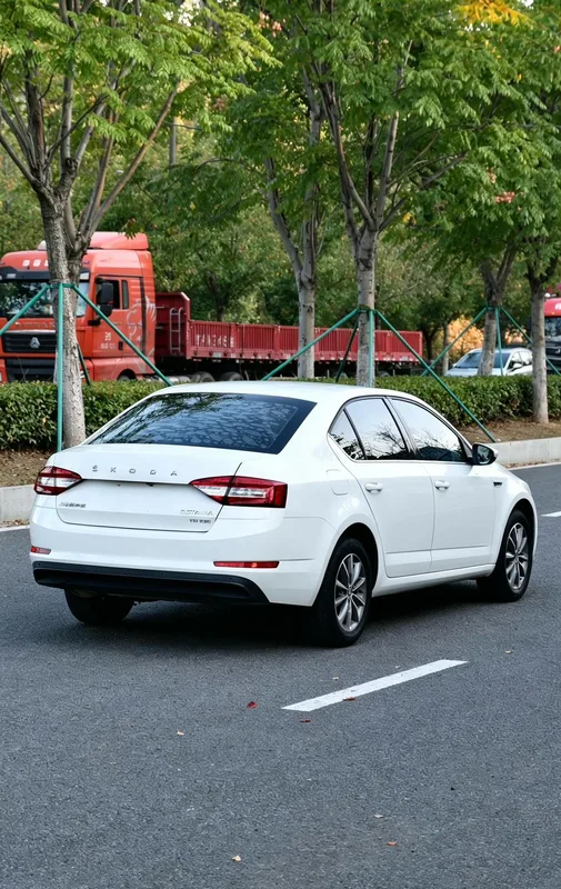 Skoda Octavia 2019 TSI230 DSG Zhixing Comfort Edition China V interior photo 12 Skoda Octavia 2019 TSI230 DSG Zhixing Comfort Edition China V interior photo 12