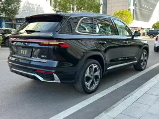 Geely Monjaro 2024 2.0TD DCT EVO Two-wheel drive Changfeng version exterior photo 9