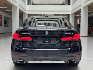 BMW 5 Series 2022 525Li M Conjunto deportivo exterior foto 6 BMW 5 Series 2022 525Li M Conjunto deportivo exterior foto 6