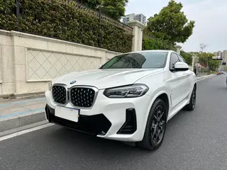 BMW X4 2022 xDrive 25i M Спортивный костюм