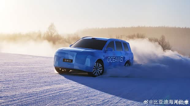 Задняя часть BYD Sea Lion 08