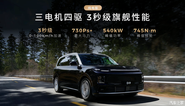 Полностью электрическая версия. Изображение