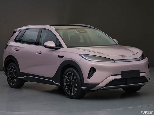 Sea Lion 05 DM-i Image