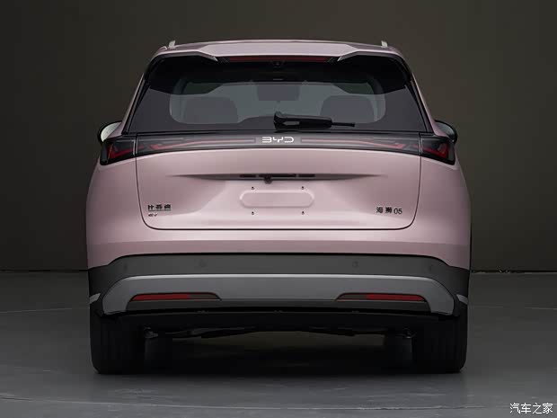 Sea Lion 05 DM-i Image