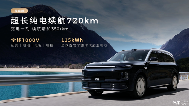 Полностью электрическая версия. Изображение